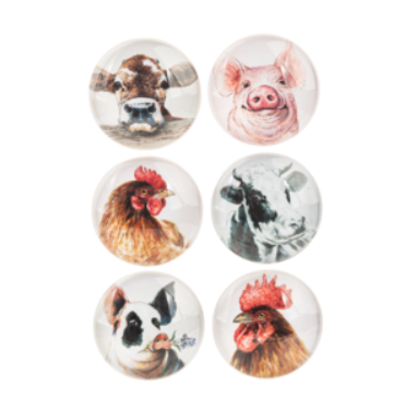 Farm Animal Magnet - 6pc set