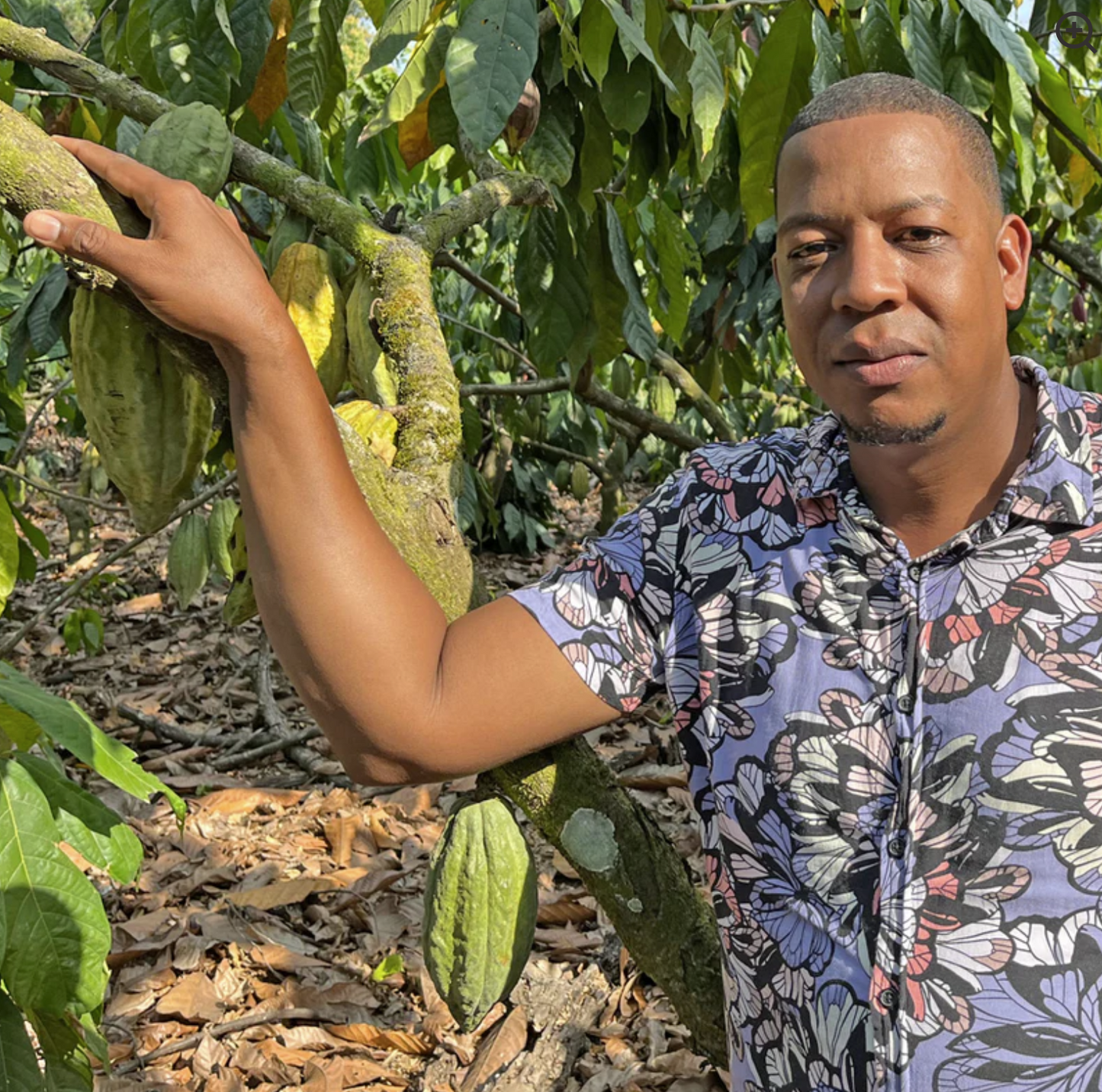 Cocoa Organic Hot Chocolate Mix