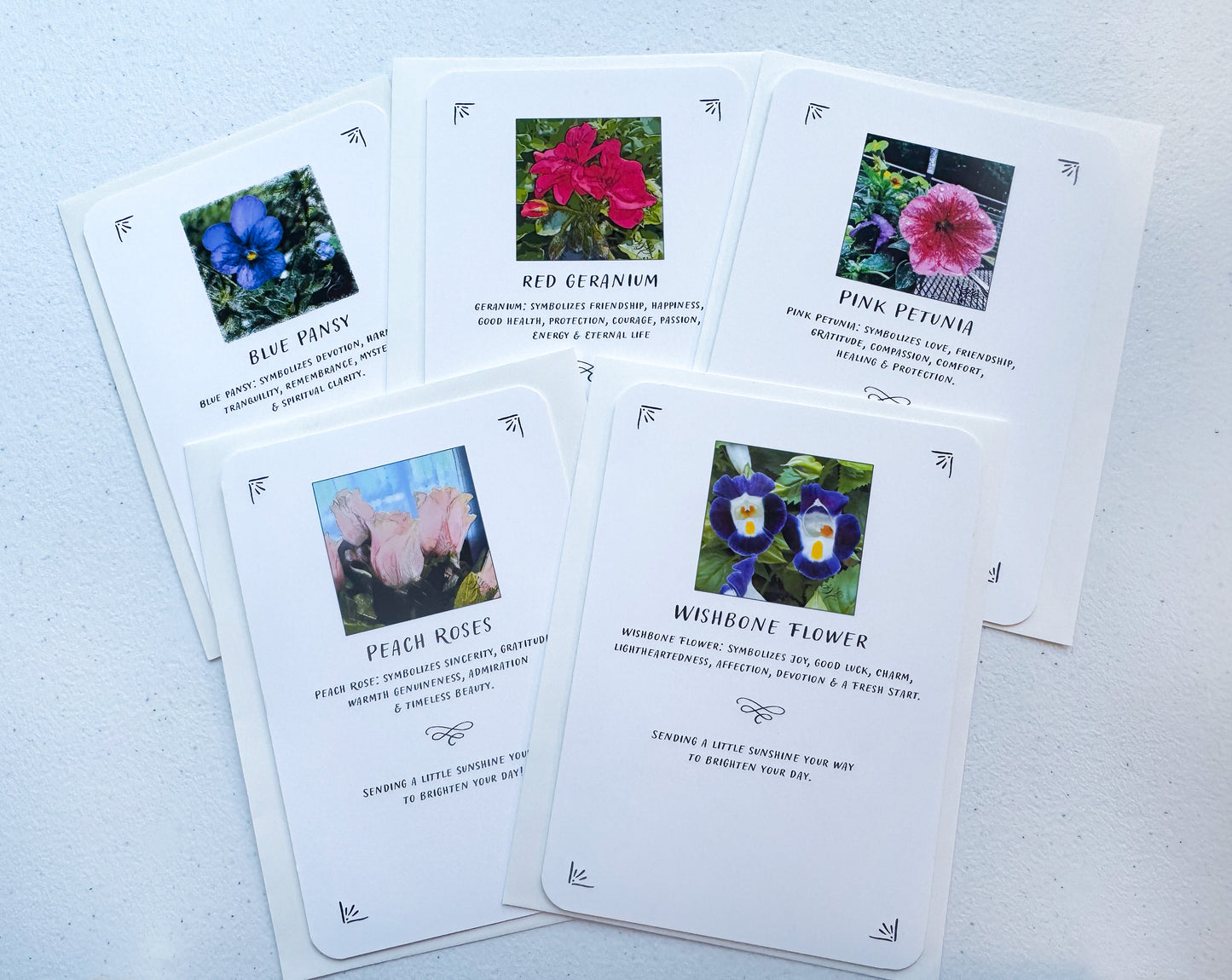 Translucent Window Art & Gift Card Sets (Small)