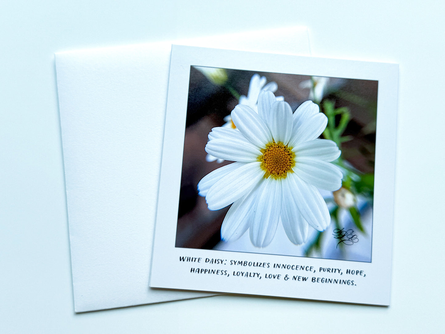 5 x 5 Flower Cards