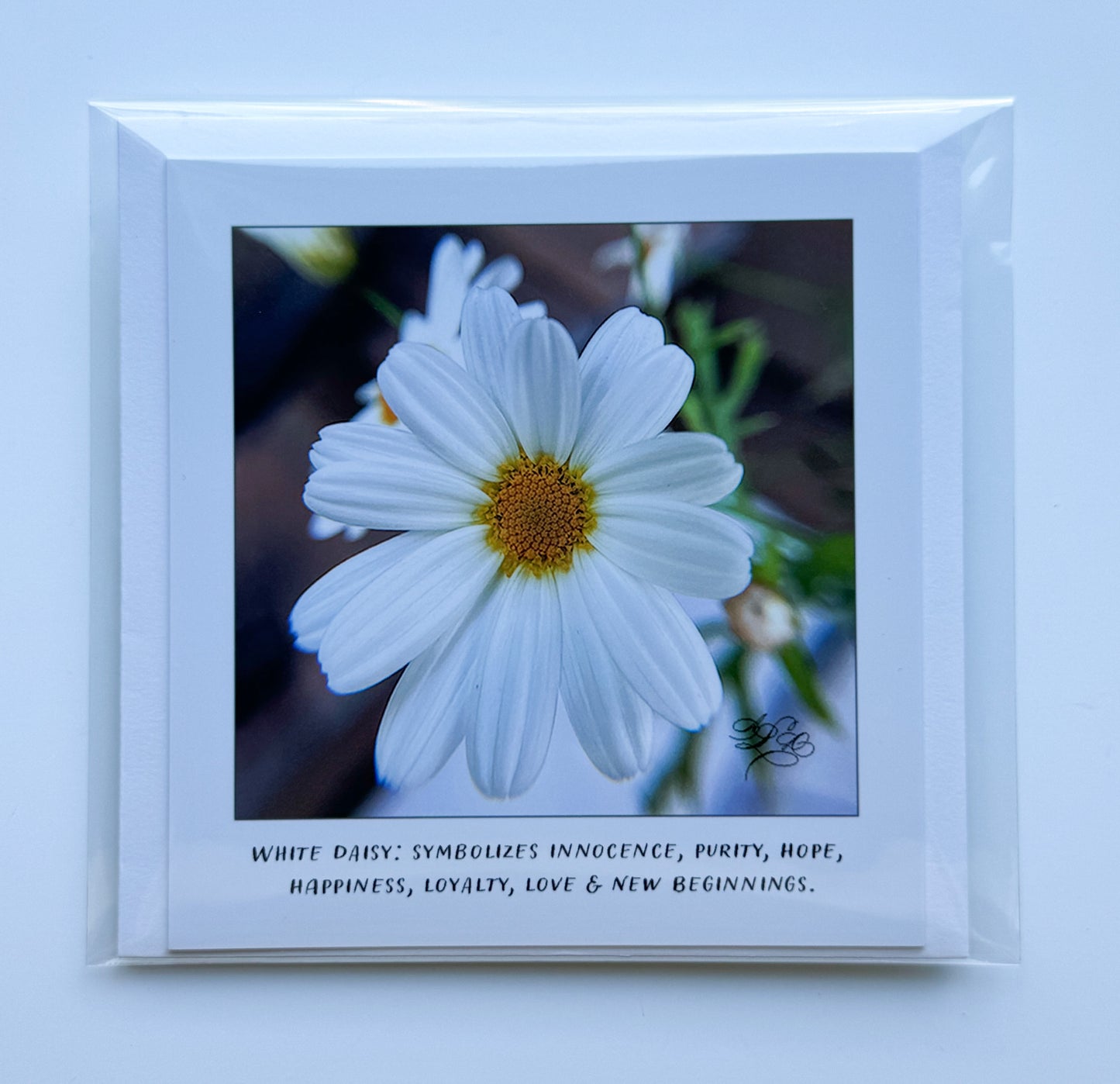 5 x 5 Flower Cards