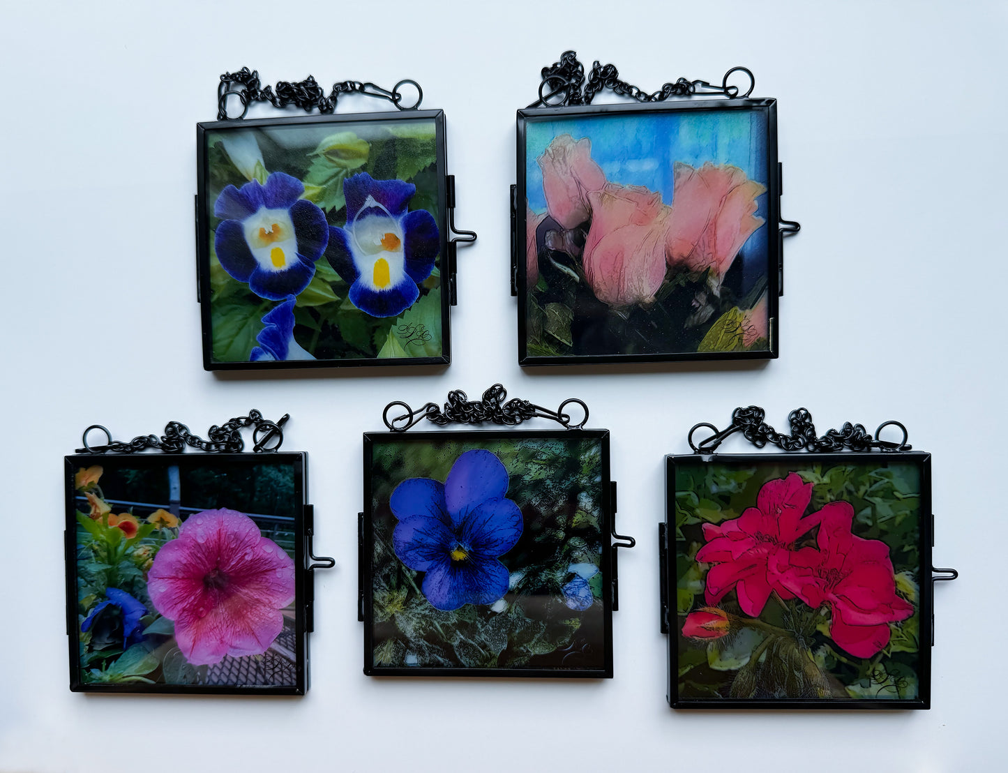 Translucent Window Art & Gift Card Sets - Flowers (Large)