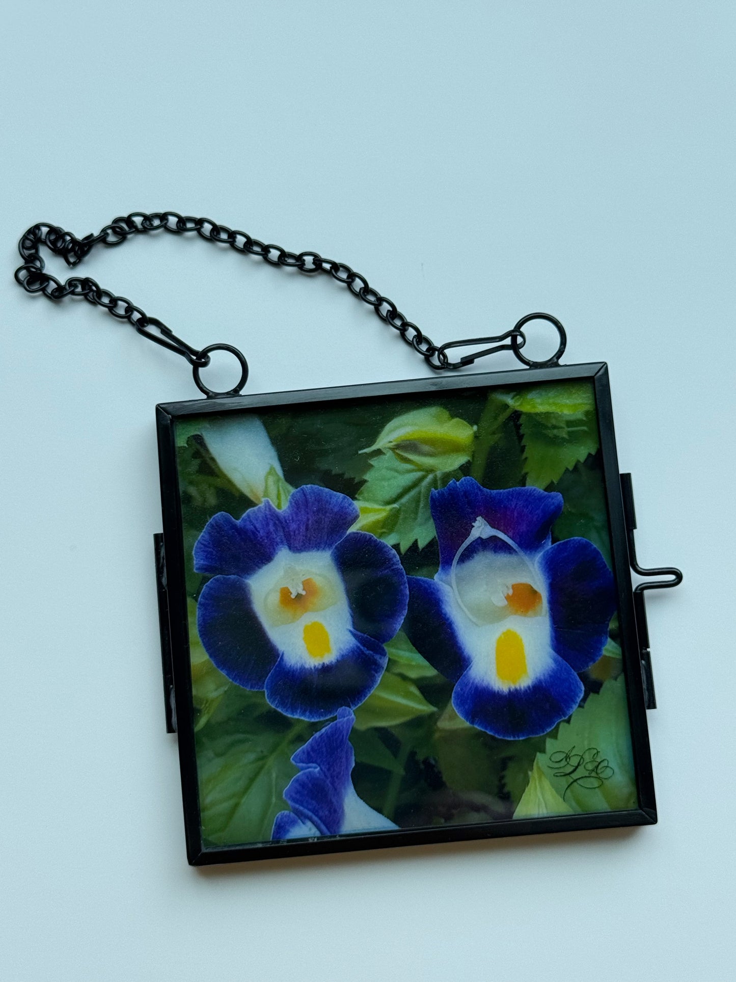 Translucent Window Art & Gift Card Sets - Flowers (Large)