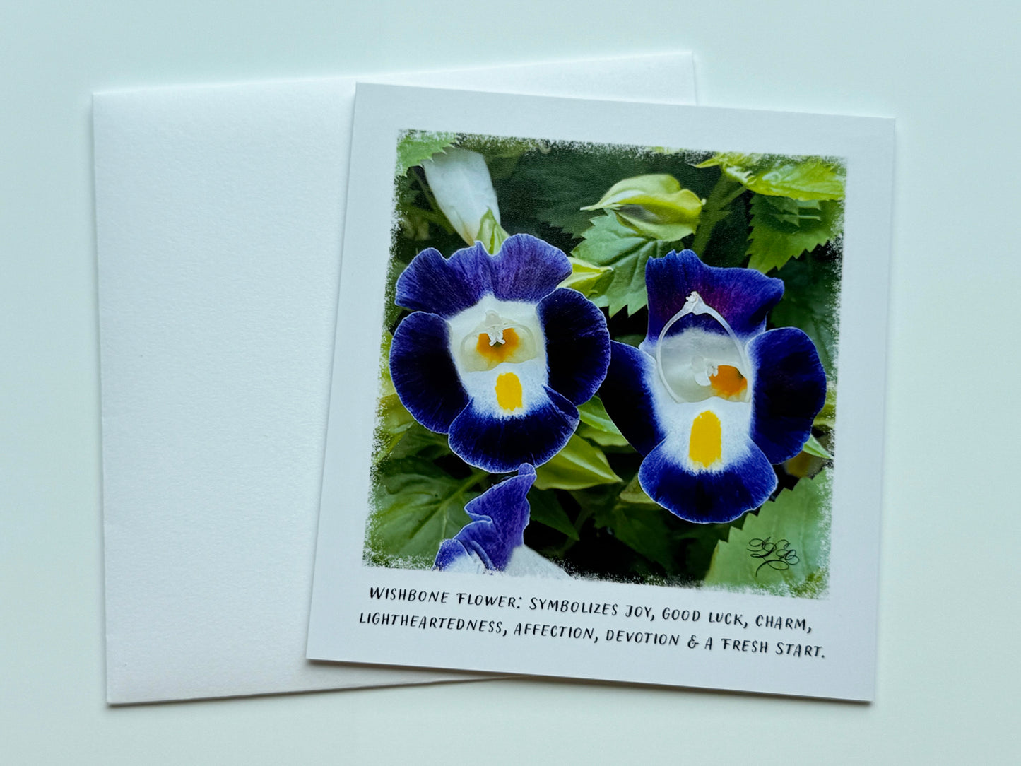 5 x 5 Flower Cards