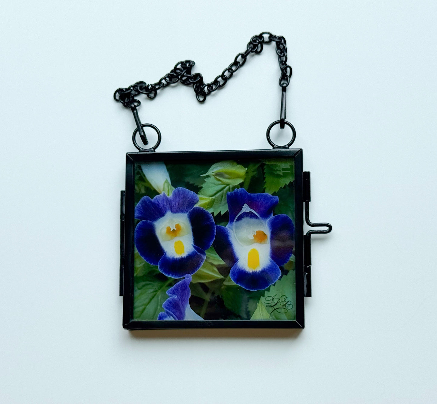 Translucent Window Art & Gift Card Sets (Small)