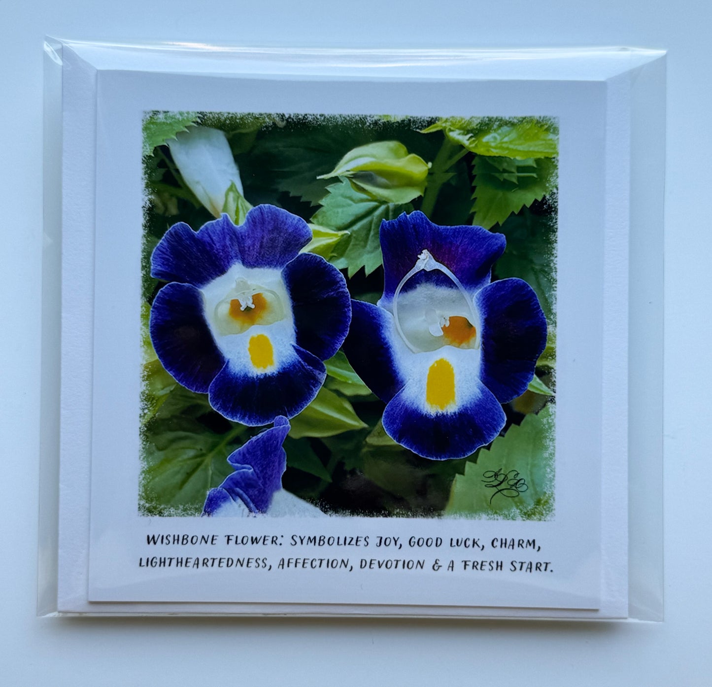 5 x 5 Flower Cards