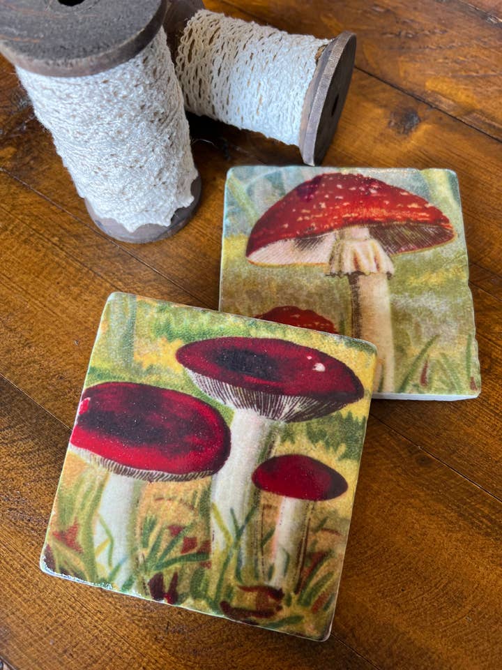 Mushrooms stone coaster
