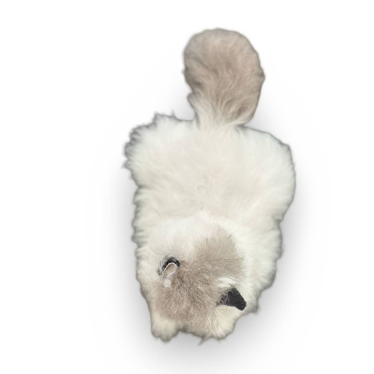 Cat Kitty Baby Alpaca Fur Pet Ultra Soft Mixed Colors 8"
