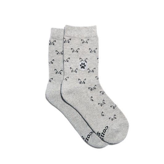 Kids Socks that Save Cats: Preschool
