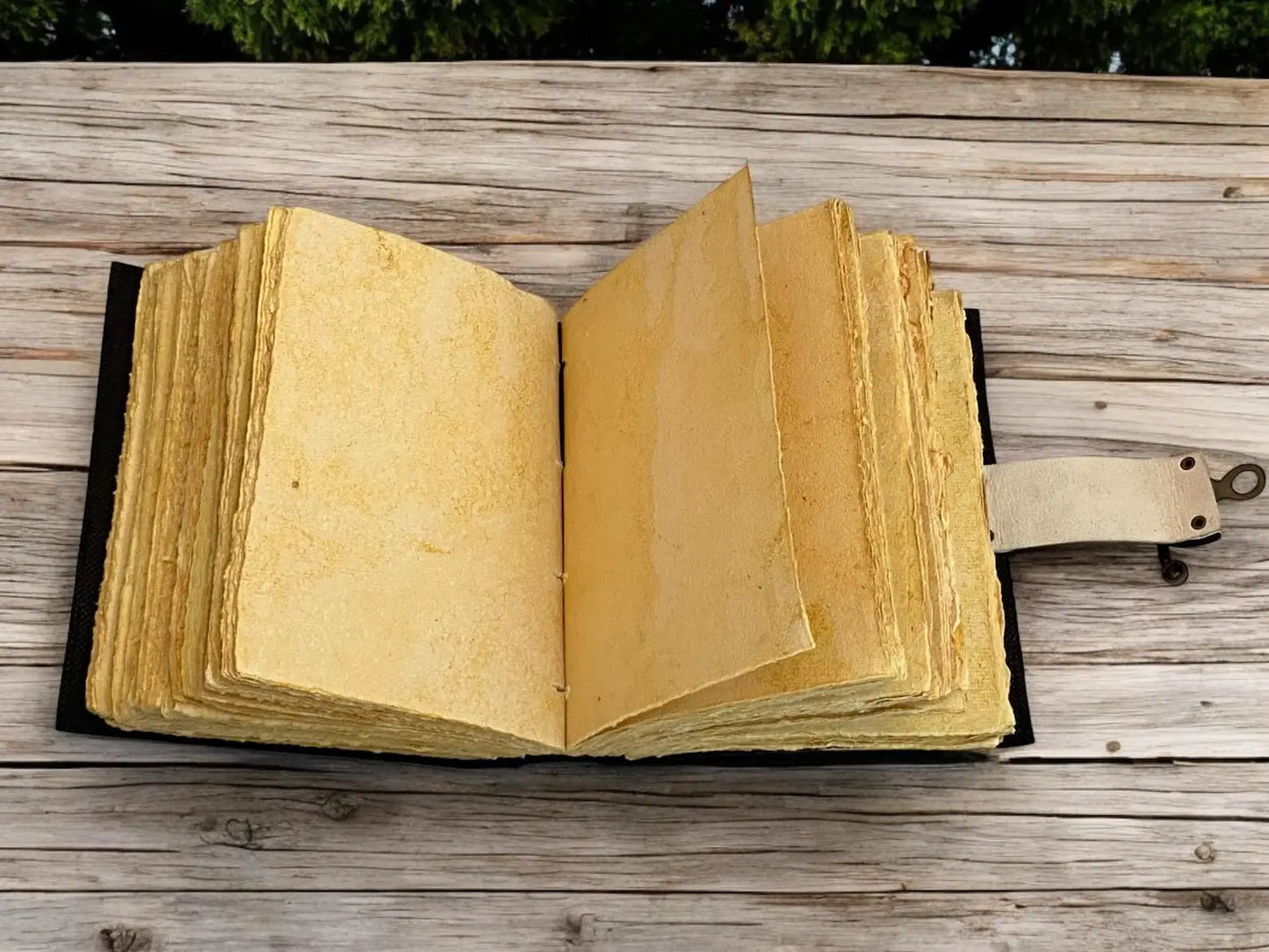 Vintage Mushroom leather journal