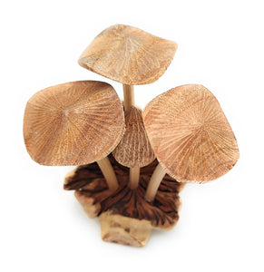 Mushroom Extra Small Wooden Hand Carved