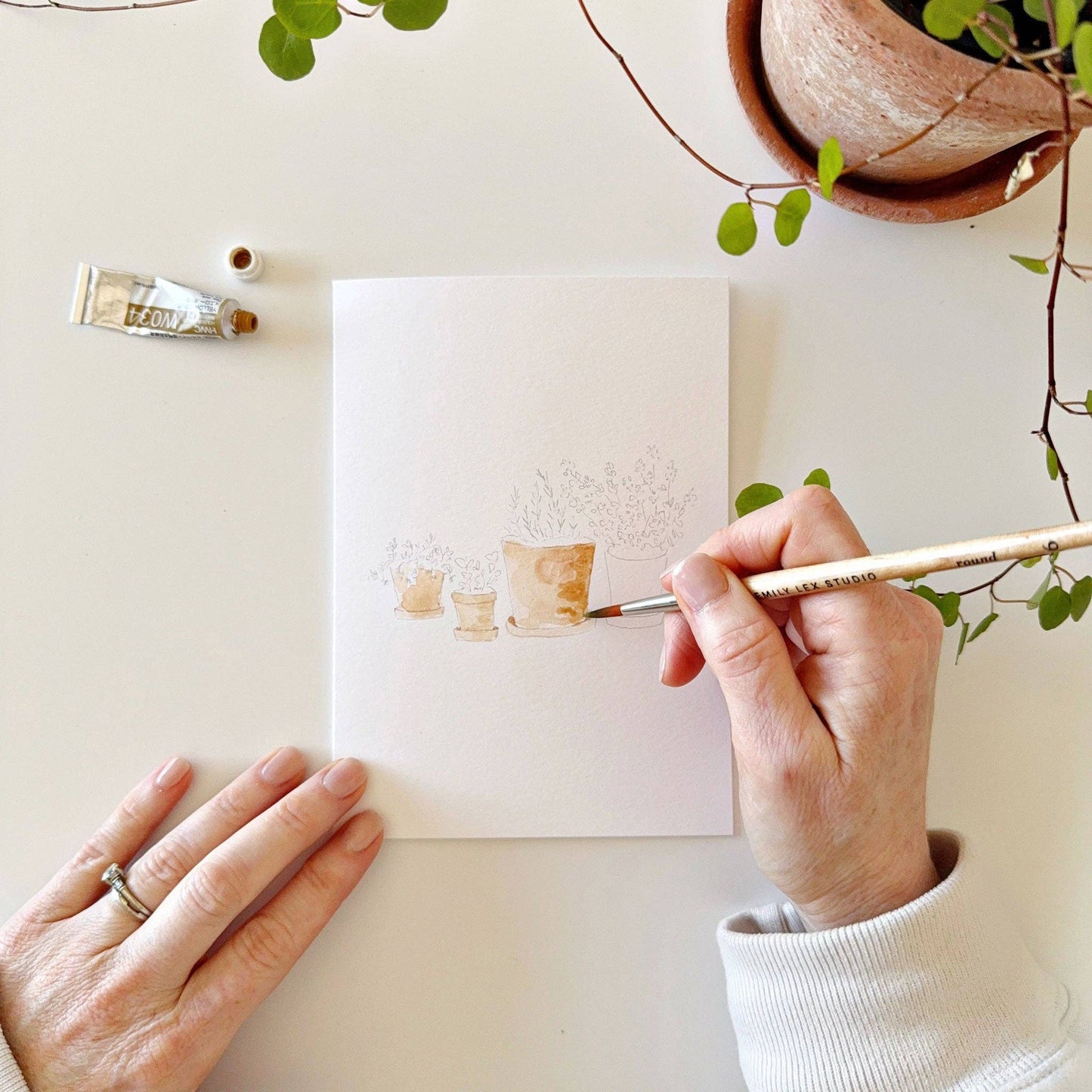 paintable watercolor notecard set Potted plants
