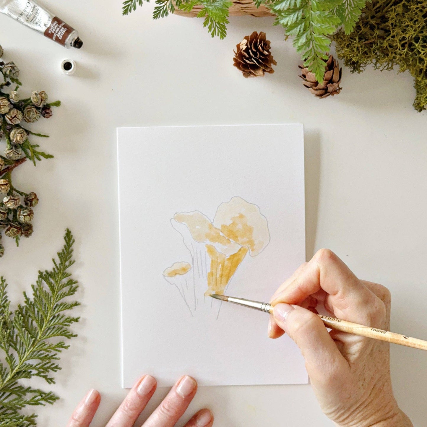 paintable watercolor notecard set Mushrooms