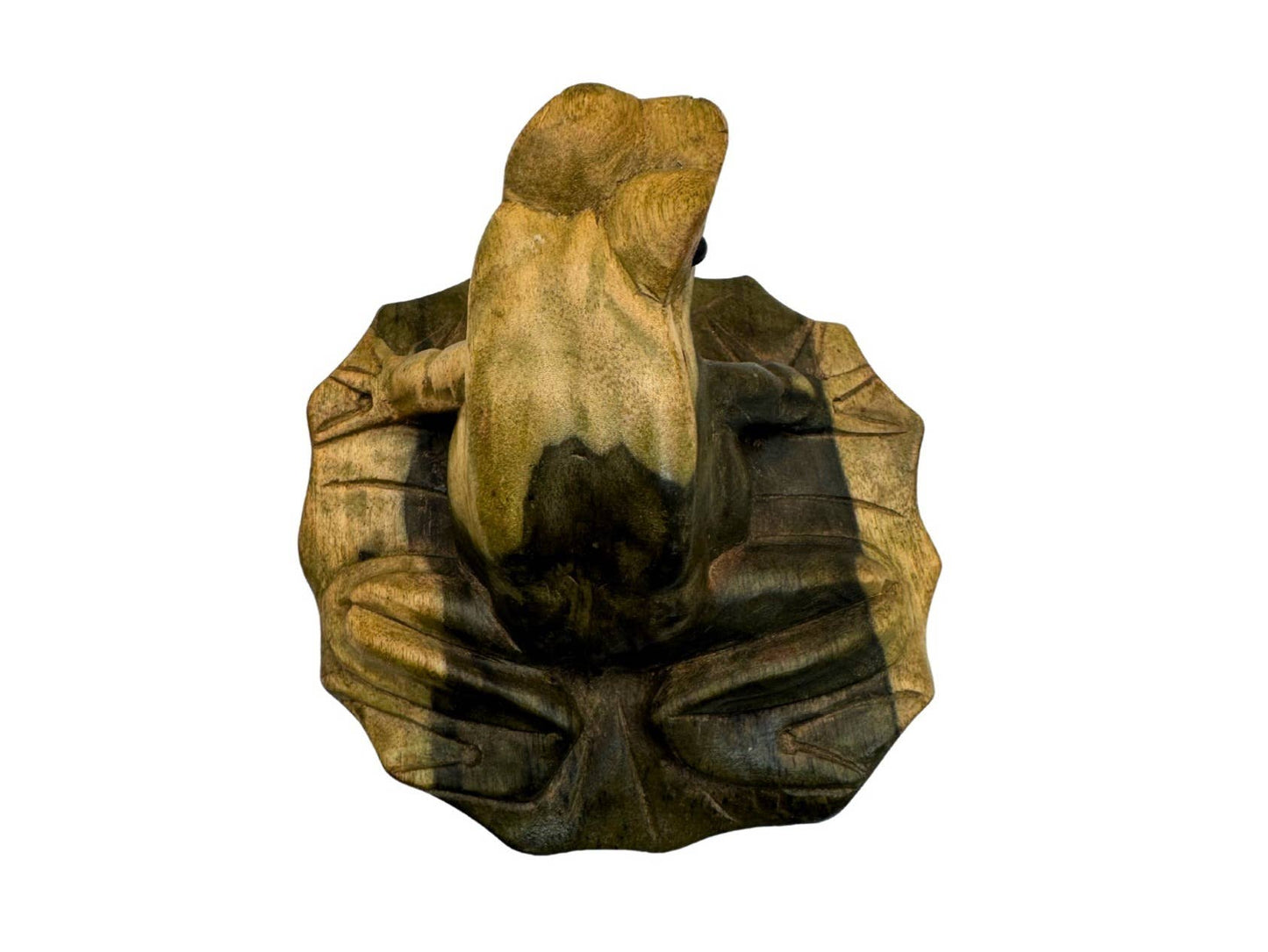 Natural Wooden Frog on Hibiscus Leaf