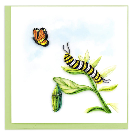 Caterpillar  Greeting Card