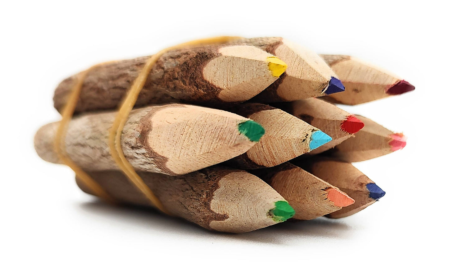 3.5 Inch Color Jungle Vine Pencils