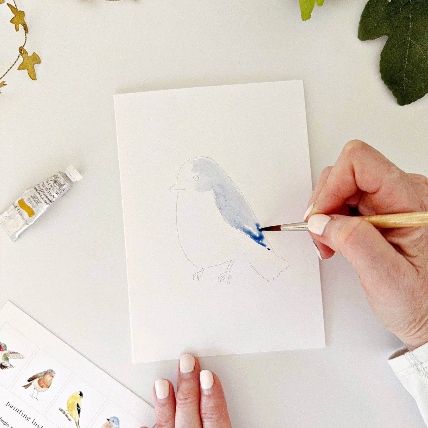 paintable watercolor notecard set Backyard birds