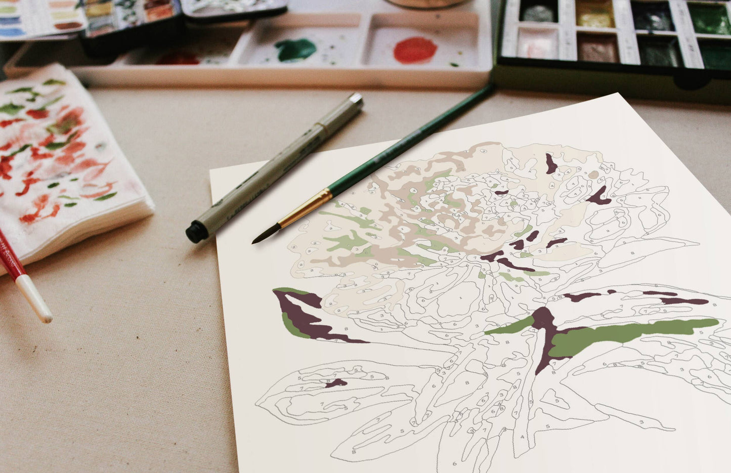 Paint-By-Numbers kit Peony Blossoms