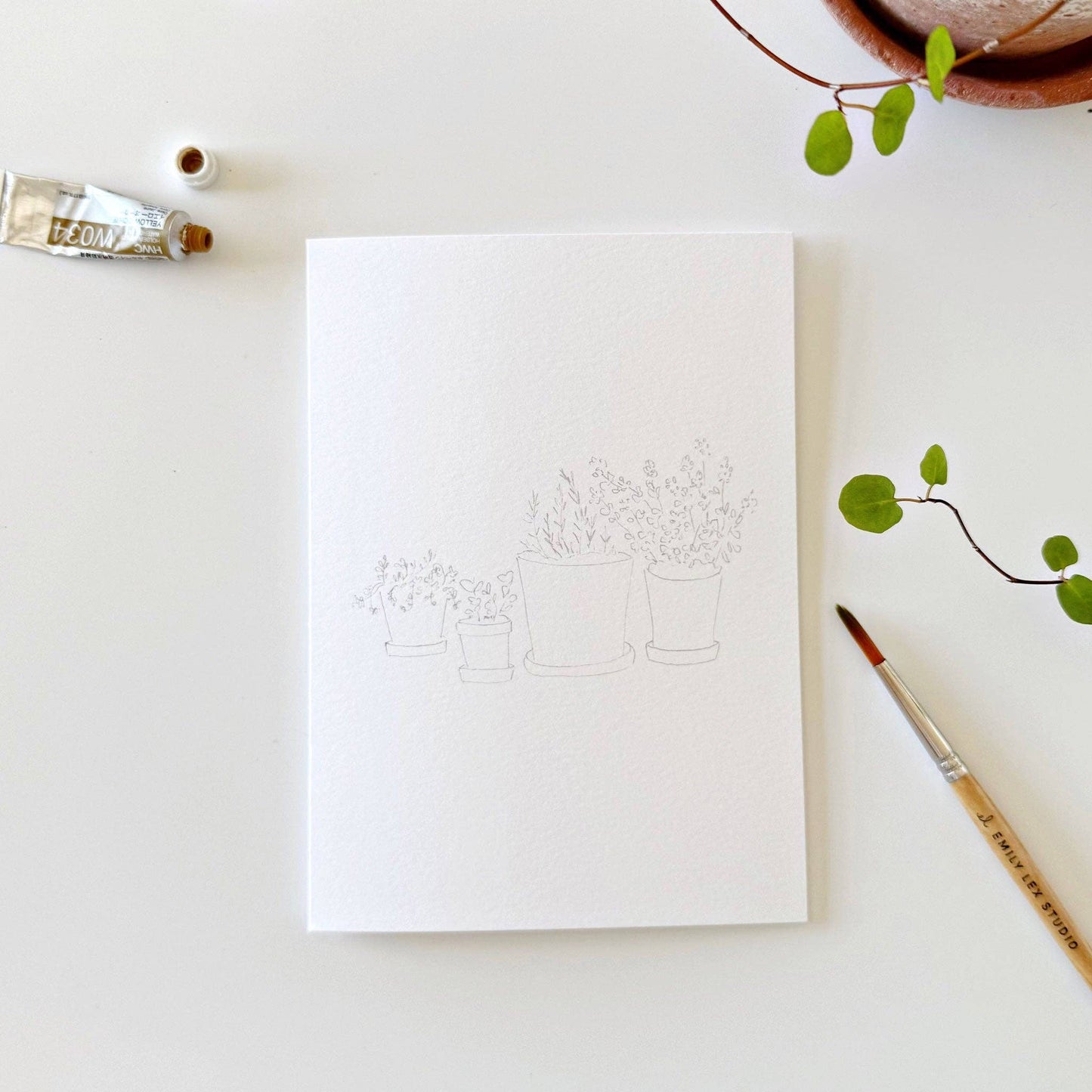 paintable watercolor notecard set Potted plants