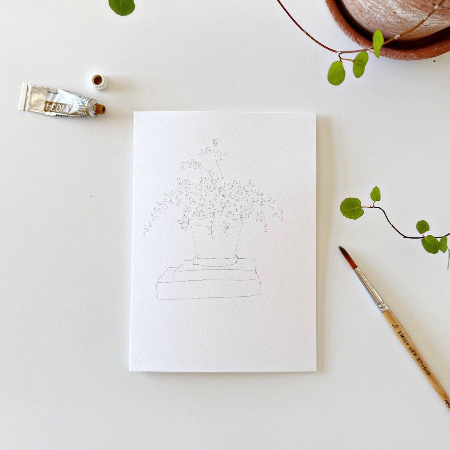 paintable watercolor notecard set Potted plants