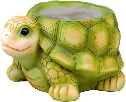 Flower Pot, Turtle Flower