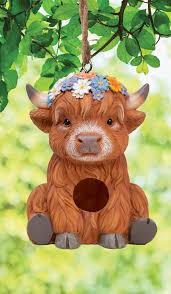 Birdhouse,  Highland Cow