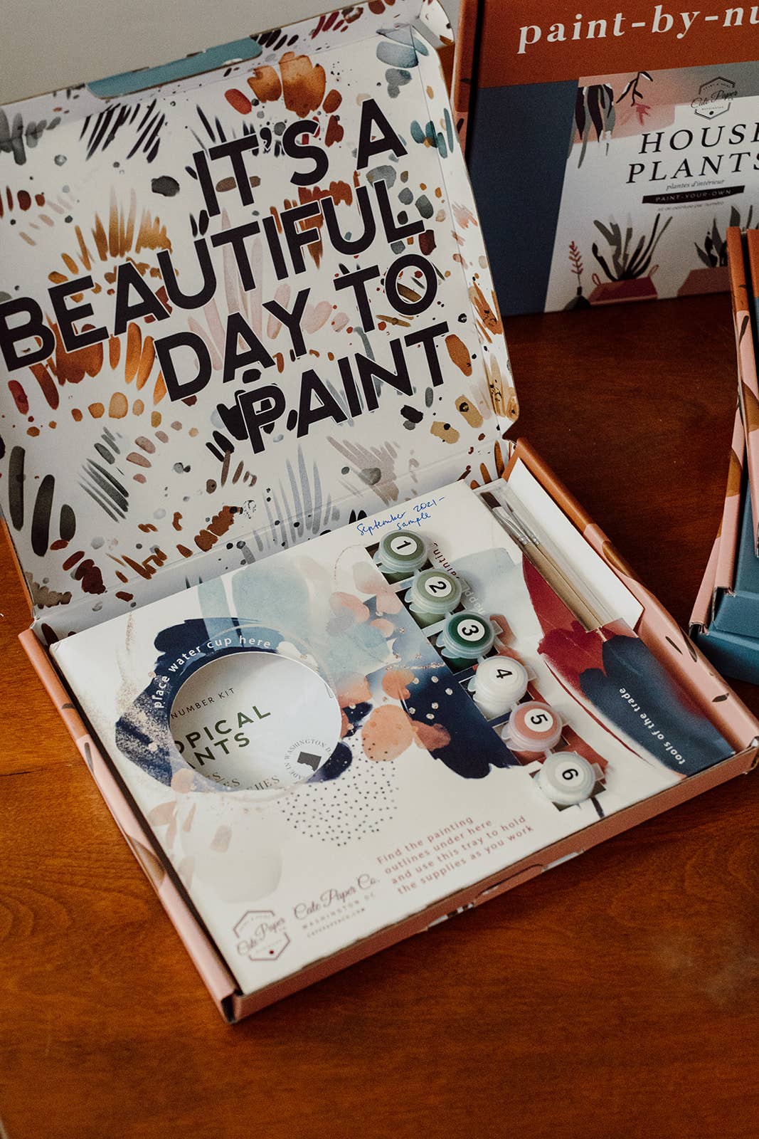 Paint-By-Numbers kit Peony Blossoms