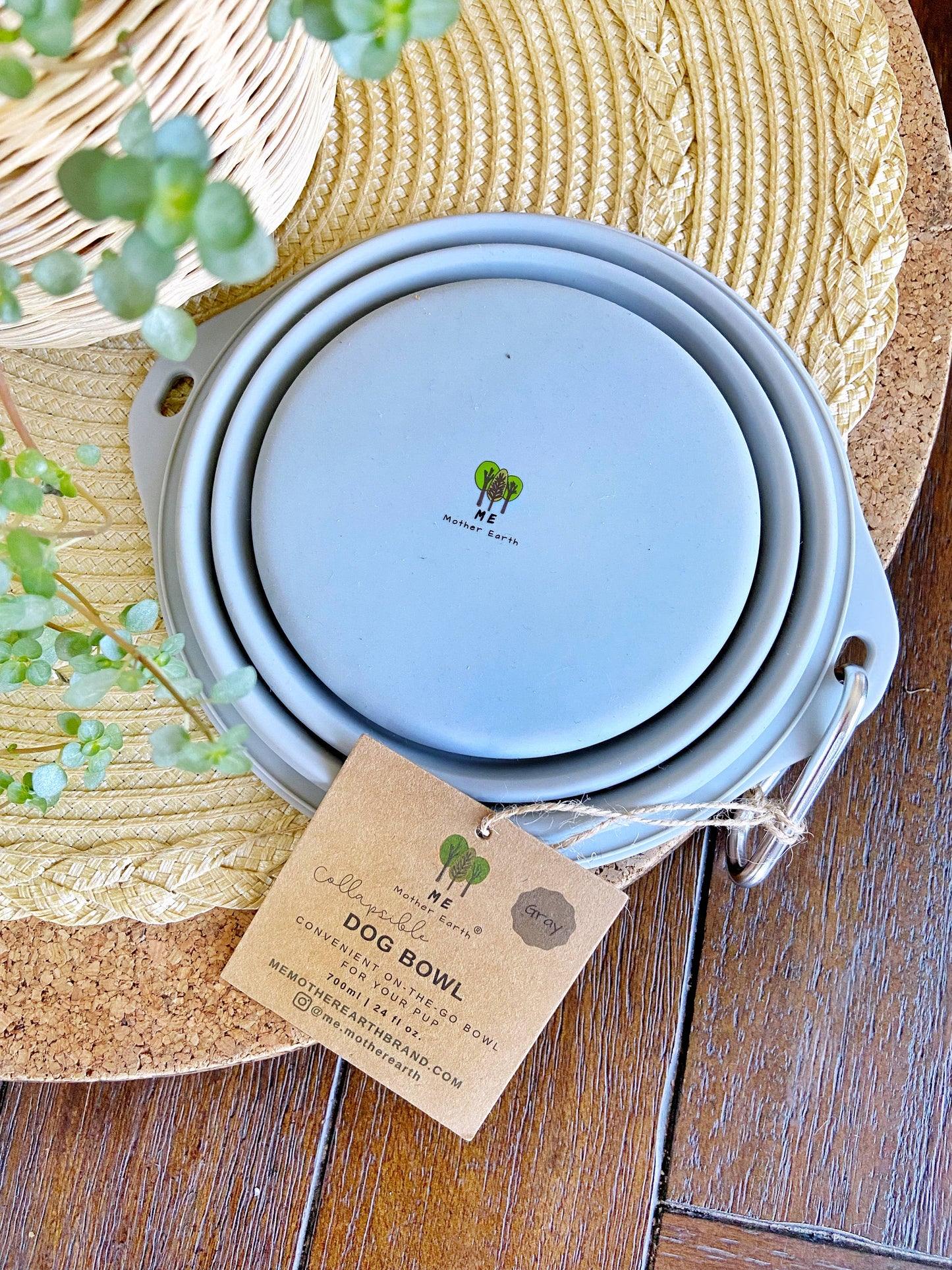 Collapsible Silicone Dog Bowl: 3 Sage Green 3 Gray
