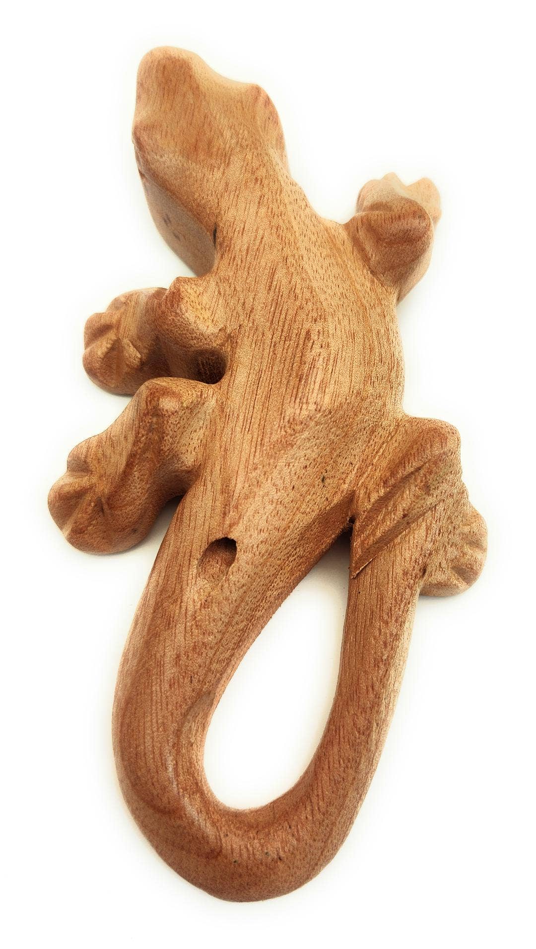 6 Inch Natural Gecko Sound