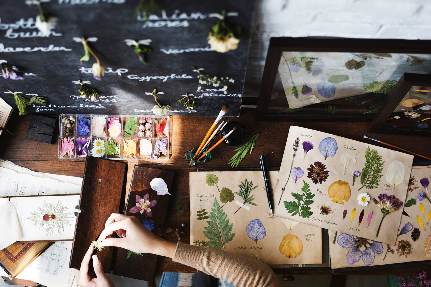 Flower Press and Floater Frame Kit