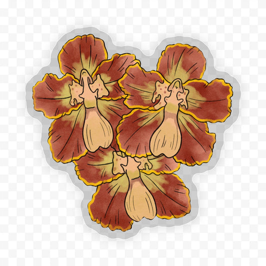 Moth Orchids - Botanical Clear Sticker