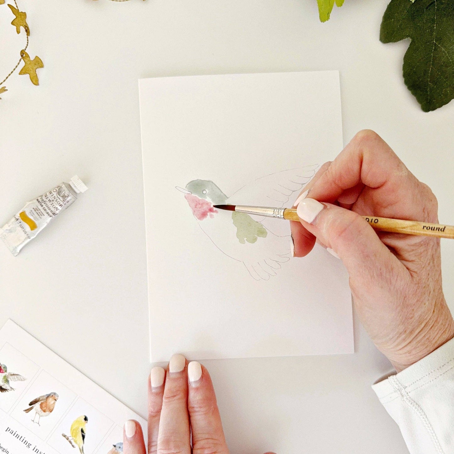 paintable watercolor notecard set Backyard birds