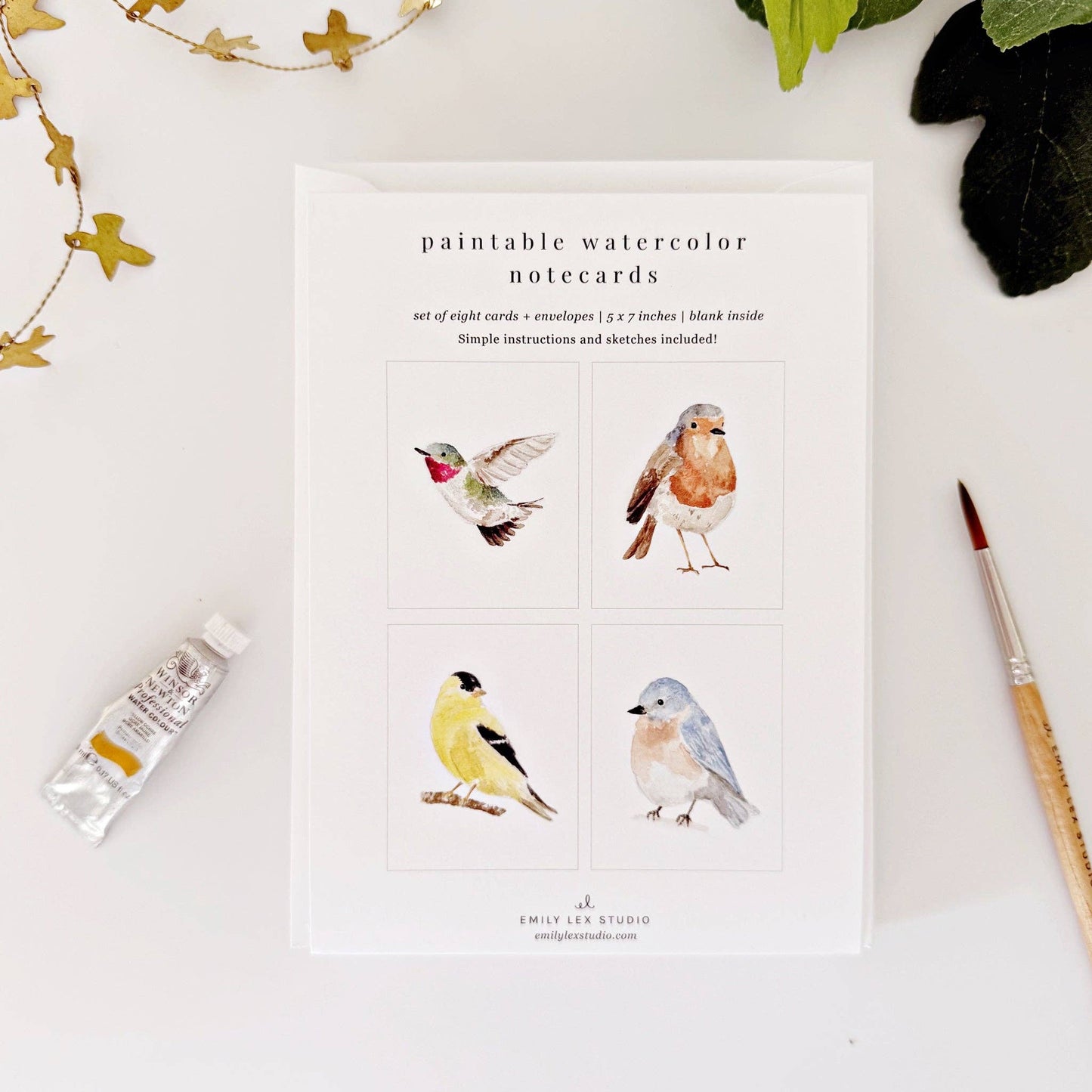 paintable watercolor notecard set Backyard birds