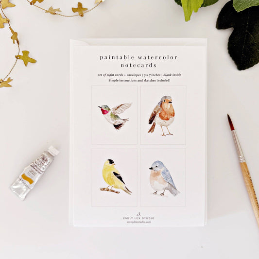 paintable watercolor notecard set Backyard birds