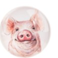 Farm Animal Magnet