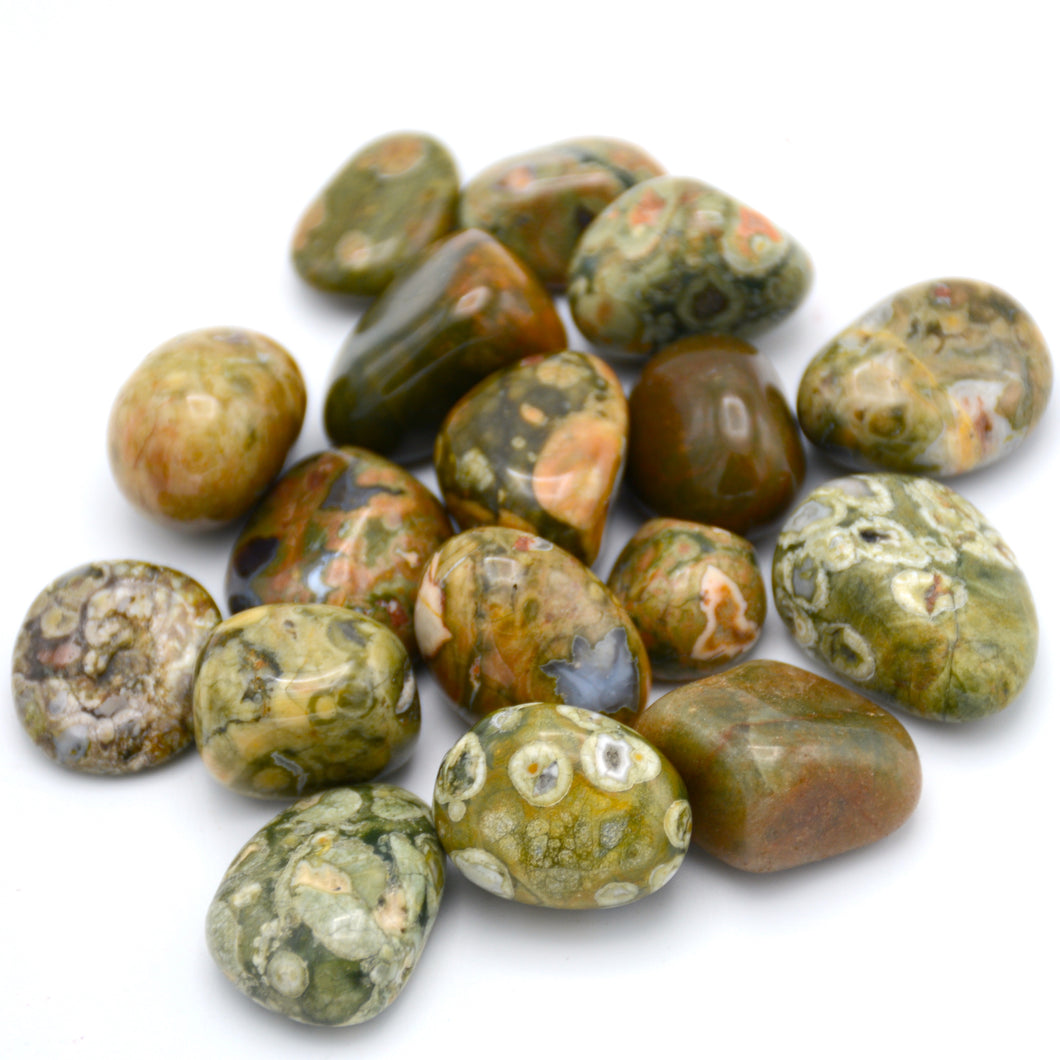 Rhyolite [Rainforest Jasper] Stone