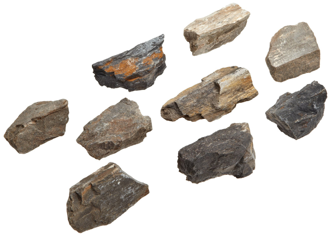 Petrified Wood