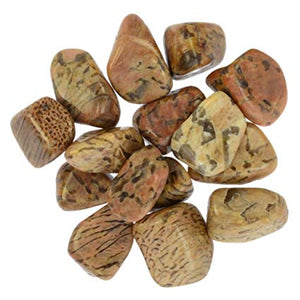 Zebradorite Stone