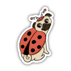 Pug Ladybug