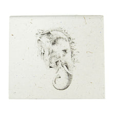 Load image into Gallery viewer, Square Ellie Pooh Note Box
