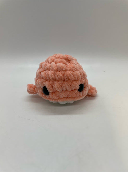 Whale