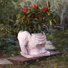 Load image into Gallery viewer, Elephant Planter
