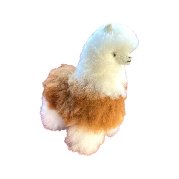 Cute Cuddly 15