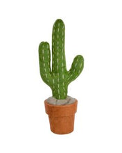 Load image into Gallery viewer, Potted Plant: Cactus

