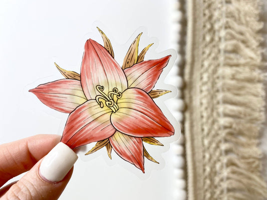 Belladonna - Botanical Clear Sticker