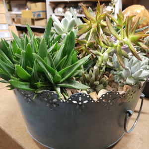 Tin Succulent Planters