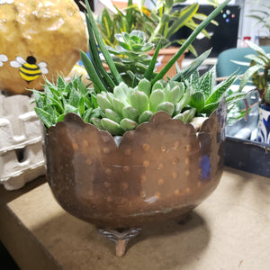 Tin Succulent Planters