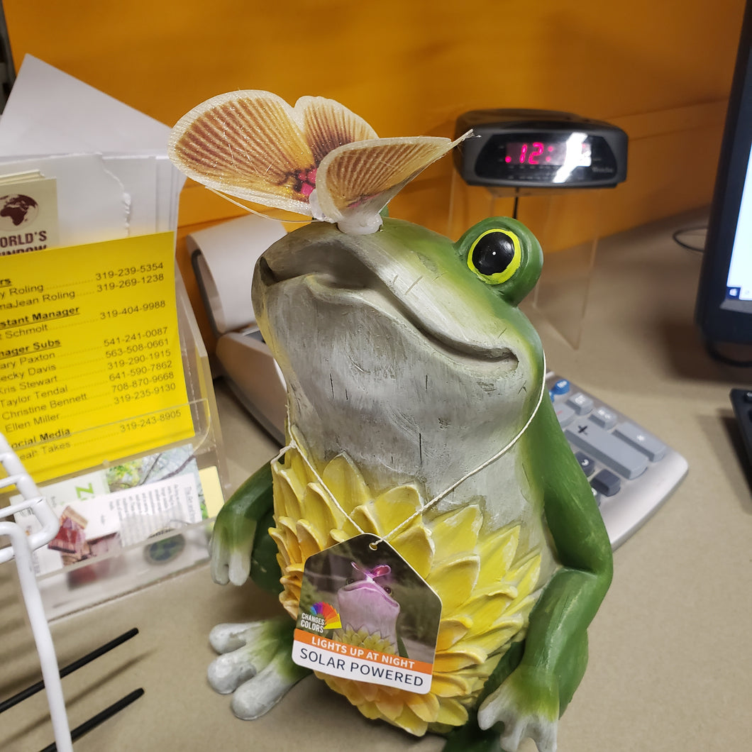 Frog Garden Décor