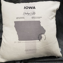 Load image into Gallery viewer, State Facts Pillow &amp; Insert
