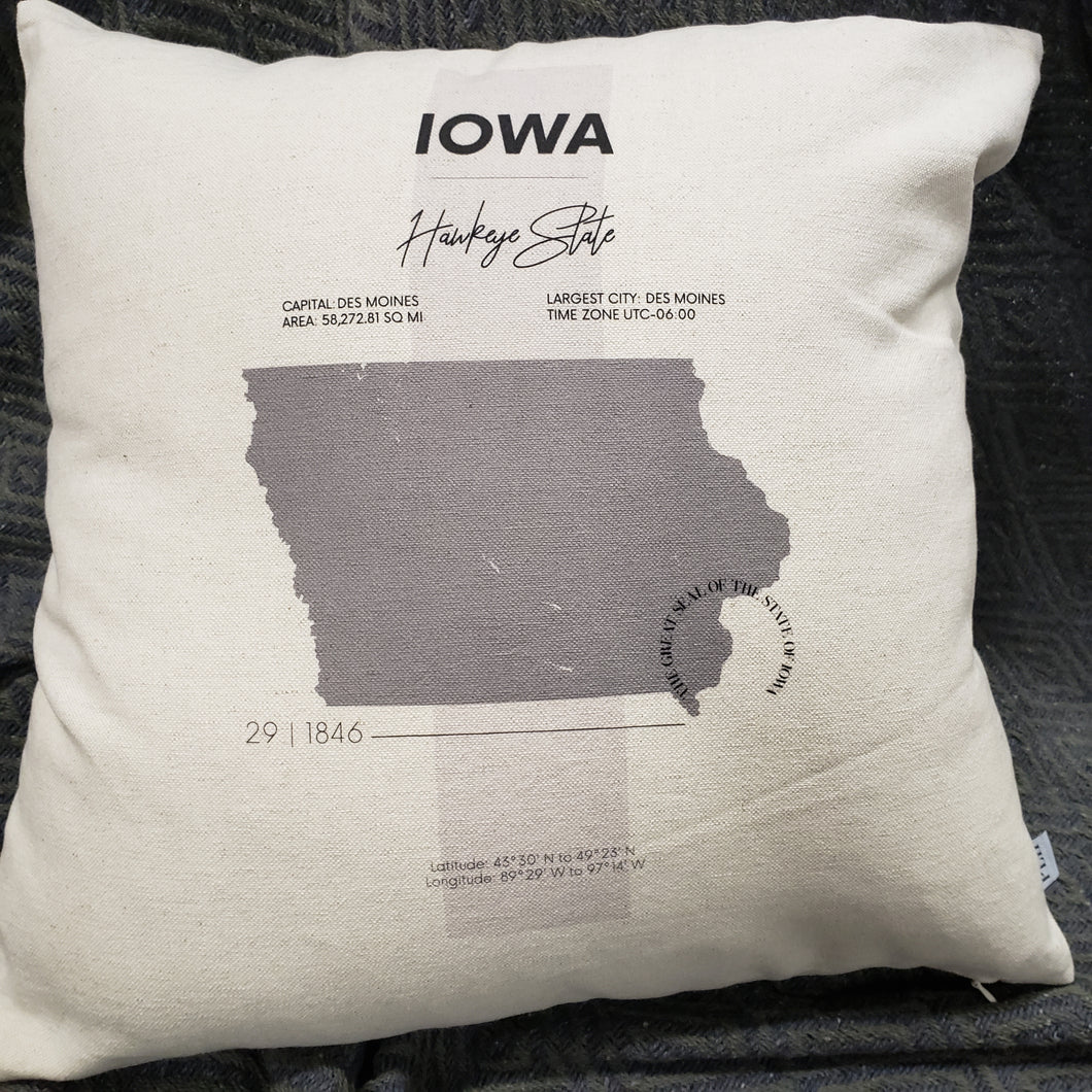 State Facts Pillow & Insert